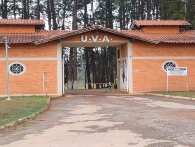 Chcara para Venda, em Andradas, bairro Clube da Uva, 2 dormitrios, 1 banheiro, 1 vaga