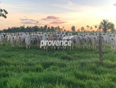 Fazenda para Venda, em Goinia, bairro Centro