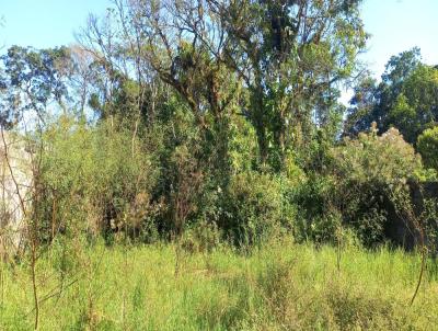 Terreno para Venda, em Itanham, bairro Jardim Fenix