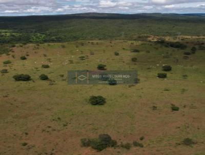 Fazenda para Venda, em Ipameri, bairro 