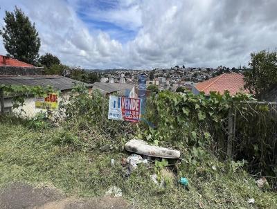 Terreno para Venda, em Colombo, bairro Paloma