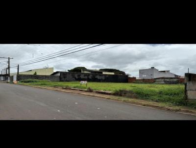 imagem-miniatura