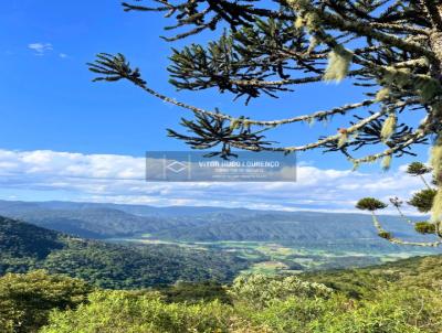 Chcara para Venda, em Urubici, bairro Morro da Igreja