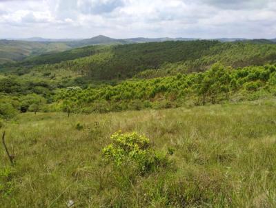 Fazenda para Venda, em So Joo del Rei, bairro Carvoeriro