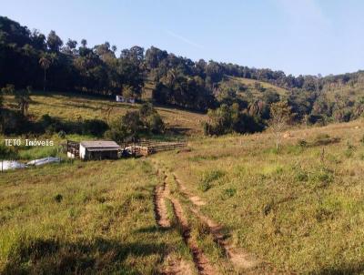 Fazenda para Venda, em So Joo del Rei, bairro Pombal