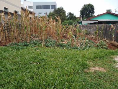 Lote para Venda, em Prudentpolis, bairro VILA BERALDO
