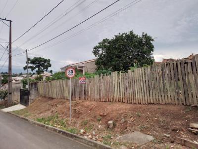 Lote para Venda, em Prudentpolis, bairro CENTRO