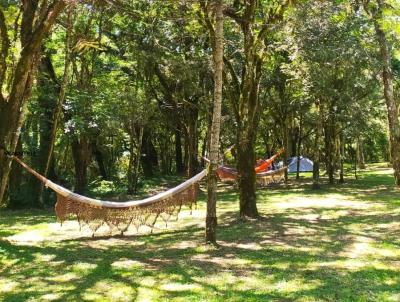 Chcara para Venda, em Prudentpolis, bairro LINHA PARANA