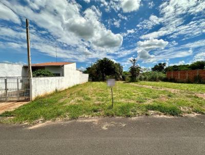 Terreno para Venda, em Guaiçara, bairro Centro