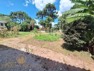 Terreno para Venda, em So Jos dos Pinhais, bairro Caminho do Vinho