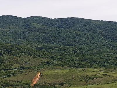 rea de Preservao Ambiental para Venda, em , bairro Alcntara coelho