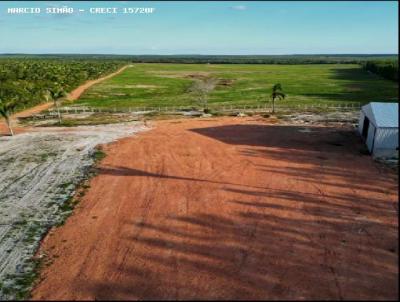 Fazenda para Venda, em Caxias, bairro Rural