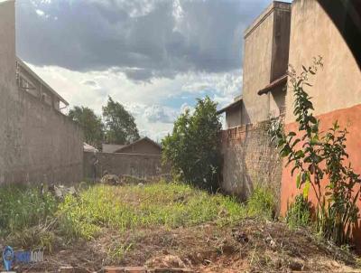 Lote para Venda, em Uberaba, bairro Jardim Nen Gomes