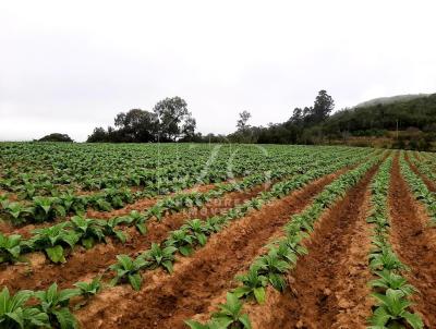 rea Rural para Venda, em Mariana Pimentel, bairro Interior