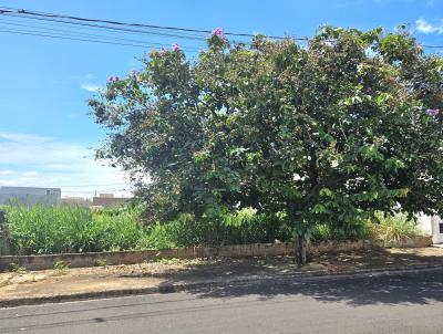 Terreno para Venda, em Ibir, bairro Jardim Bela Vista 2