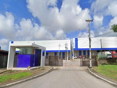 Terreno Comercial para Venda, em Macei, bairro Tabuleiro do Martins