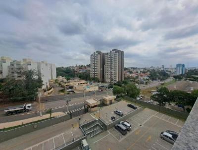imagem-miniatura