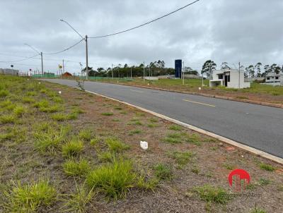 Terreno para Venda, em Mogi das Cruzes, bairro Porteira Preta