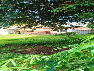imagem-miniatura