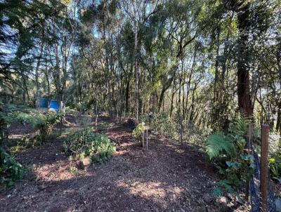 Chcara para Venda, em Gramado, bairro Serra Grande, 2 dormitrios, 1 banheiro