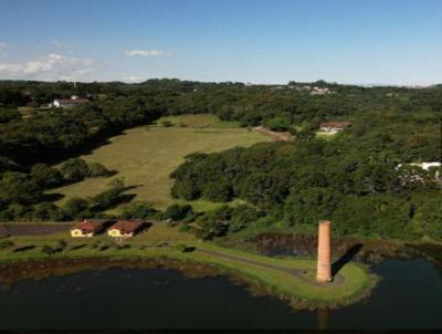 Terreno para Venda, em Curitiba, bairro Augusta