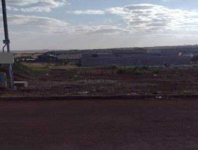 Terreno para Venda, em Jata, bairro FLAMBOYANT
