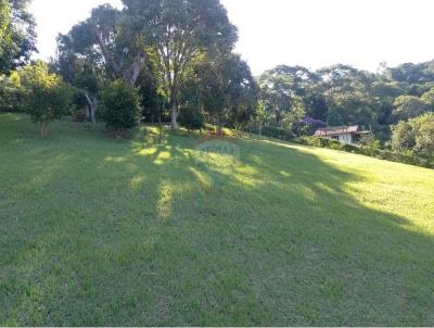 Terreno para Venda, em Simo Pereira, bairro Centro, 5 vagas