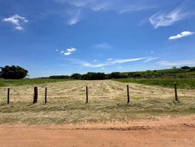 Chcara para Venda, em Lins, bairro Estrada Lins-Guaimb KM 2