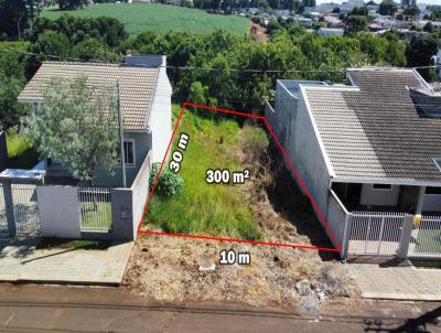 Lote para Venda, em Laranjeiras do Sul, bairro So Francisco