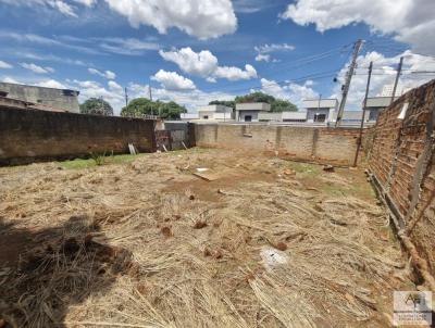 Lote para Venda, em Goinia, bairro Vila Regina