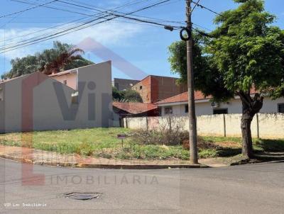 Terreno para Venda, em Pindorama, bairro Centro