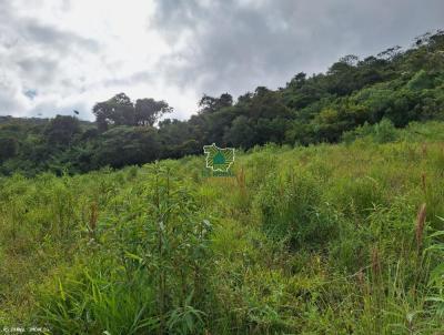 Terreno para Venda, em Santa Rita de Ibitipoca, bairro  102Km de Juiz de Fora MG
