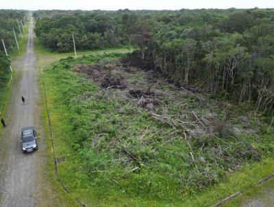 Terreno para Venda, em Itanham, bairro Jardim Fenix