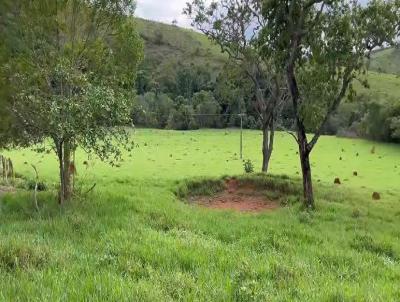 Stio para Venda, em Piumhi, bairro RURAL