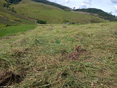 Terreno para Venda, em Juiz de Fora, bairro 40min de Juiz de fora, MG