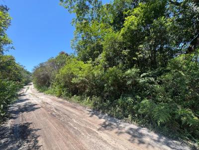 Terreno para Venda, em Itanham, bairro Palmeiras