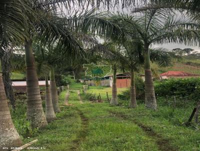 Stio para Venda, em Barbacena, bairro  101Km de Juiz de Fora Mg