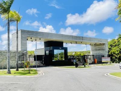 Lote para Venda, em , bairro PITIMBU