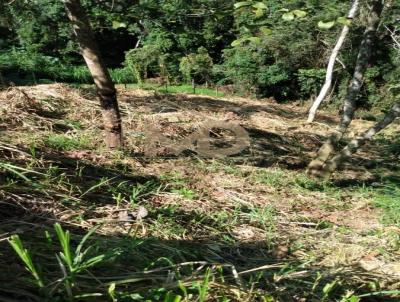 Terreno para Venda, em Terespolis, bairro Artistas