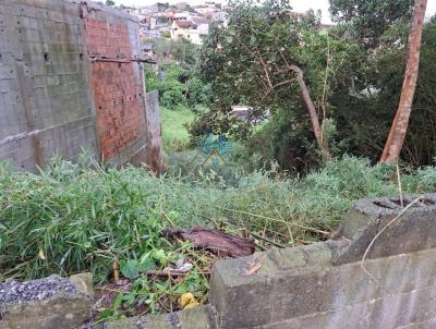 Terreno para Venda, em Ribeiro Pires, bairro Santa Luzia