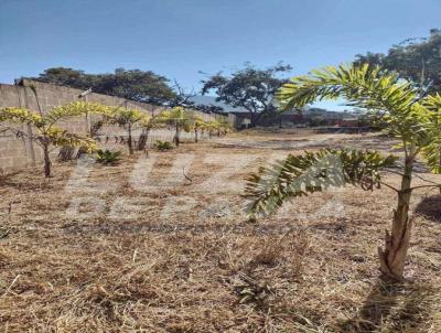 Terreno para Venda, em , bairro Centro