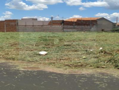 Terreno para Venda, em So Jos do Rio Preto, bairro Residencial So Thomaz II