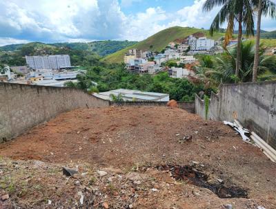 Terreno para Venda, em Juiz de Fora, bairro Fontesville