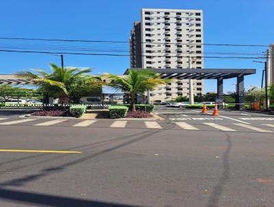 imagem-miniatura