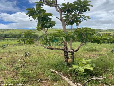 Fazenda para Venda, em Buritis, bairro Serra Bonita