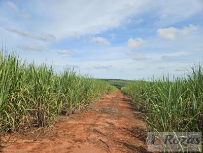 Fazenda para Venda, em Sandovalina, bairro gua Clara