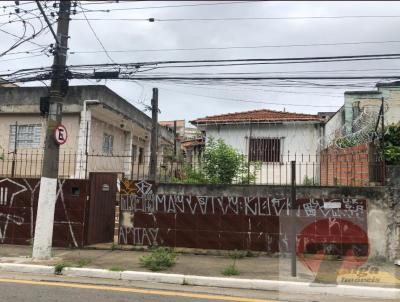 Lote para Venda, em So Paulo, bairro Vila Monte Alegre
