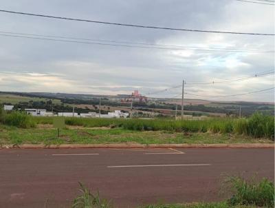 Terreno para Venda, em Jata, bairro PARQUE DOS VENTOS