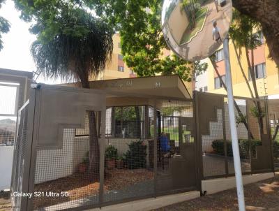 Apartamento para Venda, em Londrina, bairro Gleba Fazenda Palhano, 3 dormitrios, 2 banheiros, 1 vaga