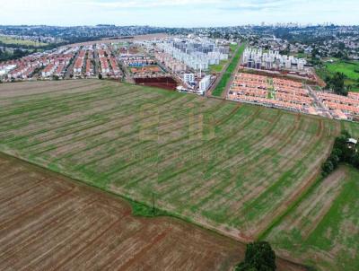 Lote para Venda, em Cascavel, bairro Floresta